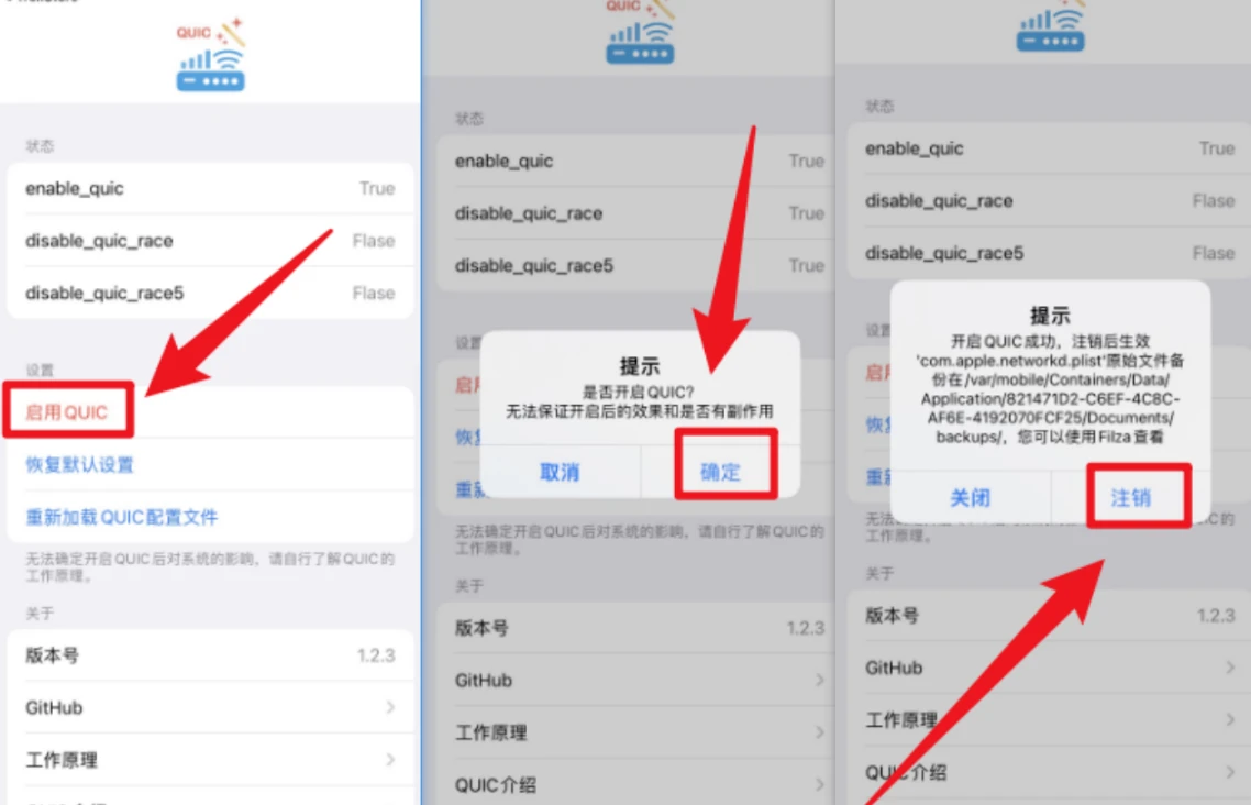 图片[1]-QUIC_1.2.4有效提升手机网速-TrollStore资源酷